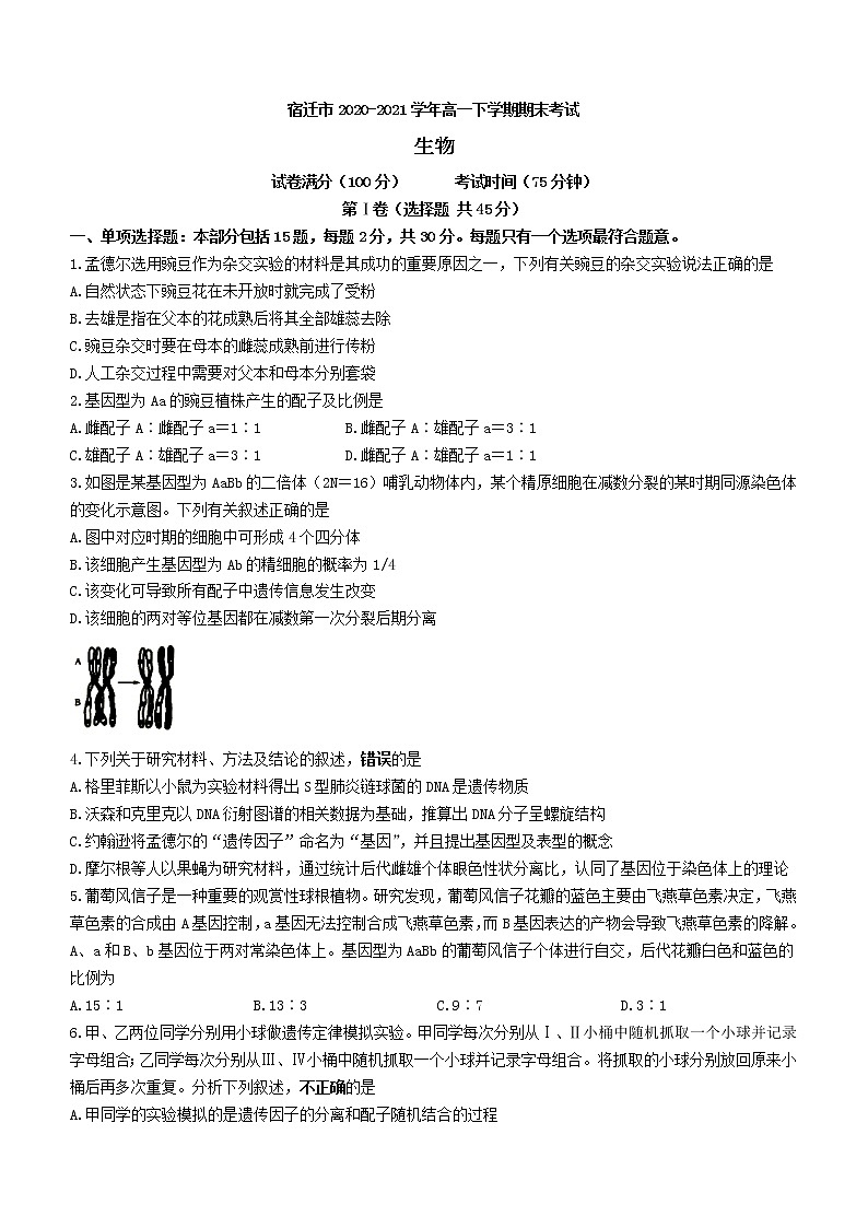 2021宿迁高一下学期期末考试生物试题含答案01