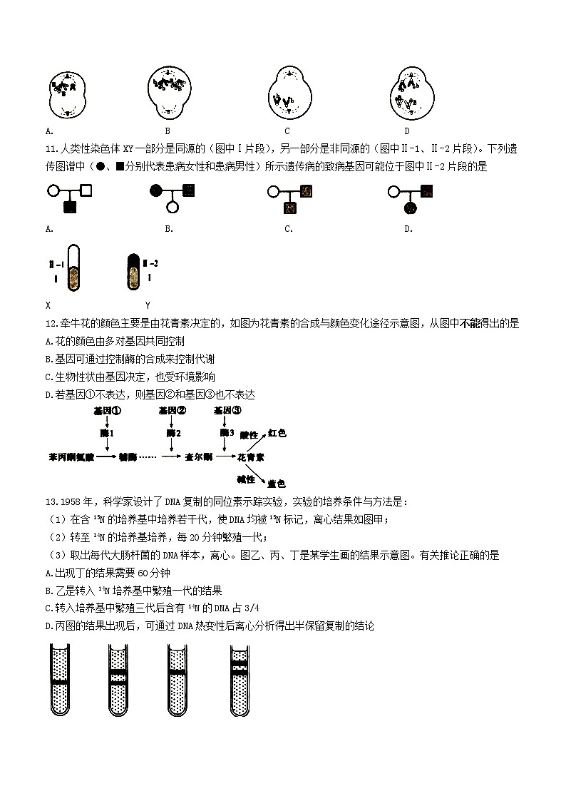 2021宿迁高一下学期期末考试生物试题含答案03