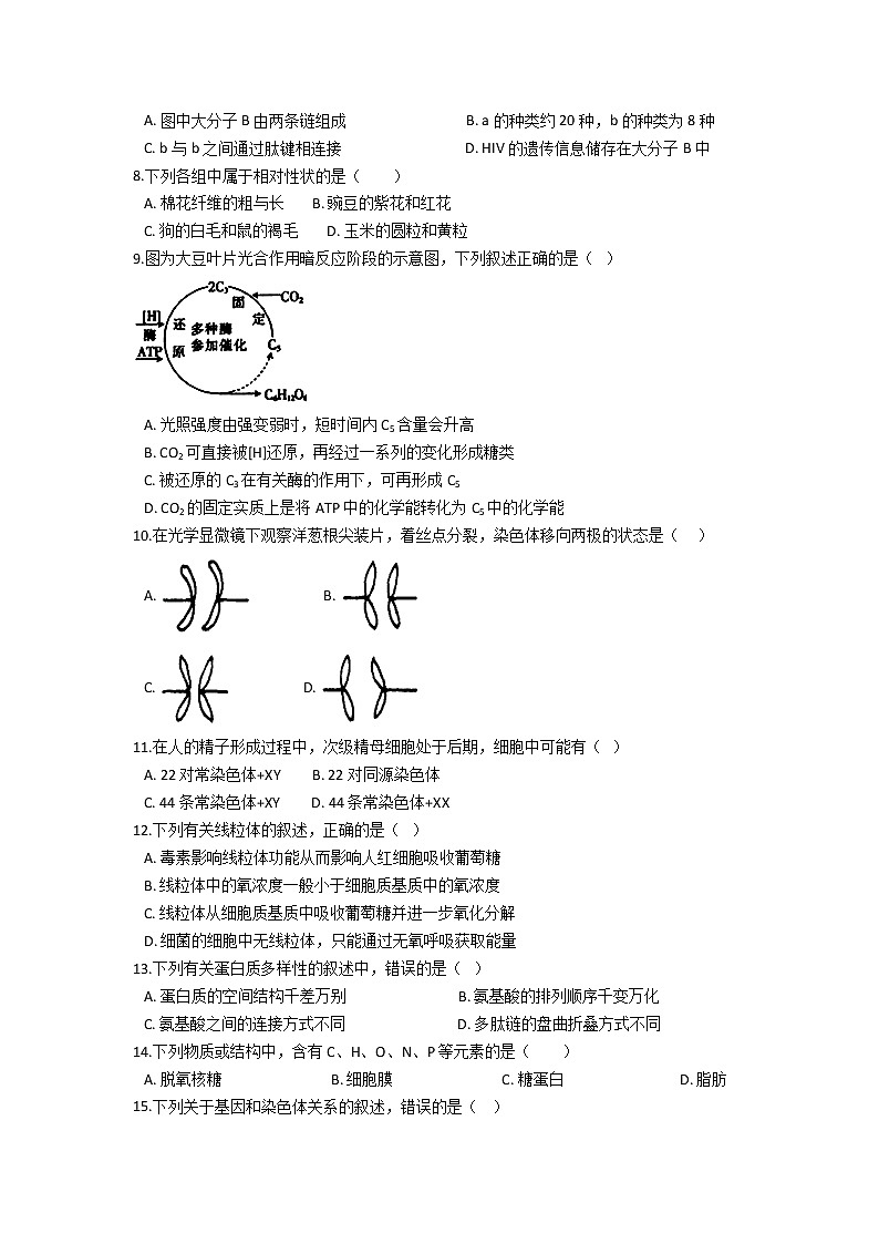 2021云南省马关县一中校高一下学期期末考试生物试题含答案02