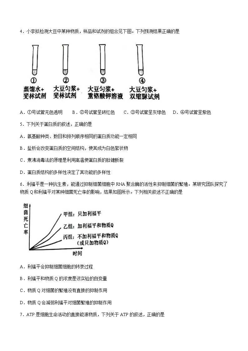 2021广东省普宁市高一下学期期末考试生物试题含答案02