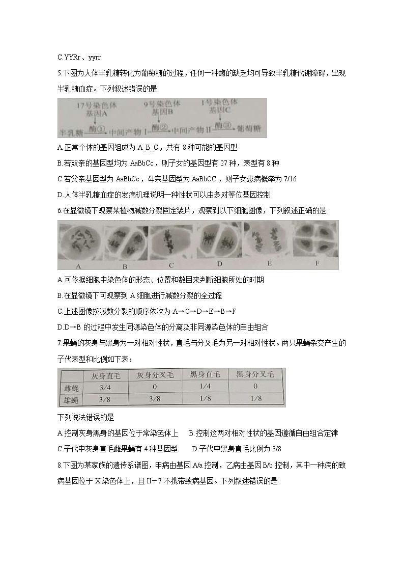 2021厦门高一下学期期末考试生物含答案02
