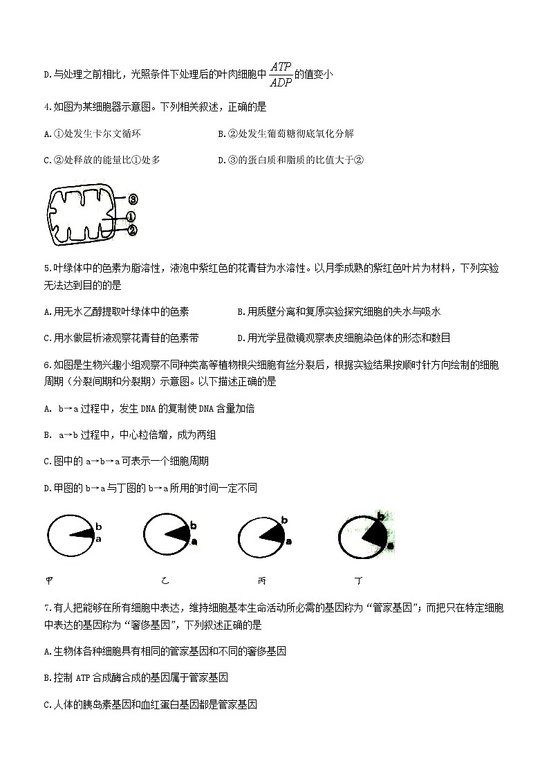2021重庆市八中高一下学期期末考试生物试题含答案第2页