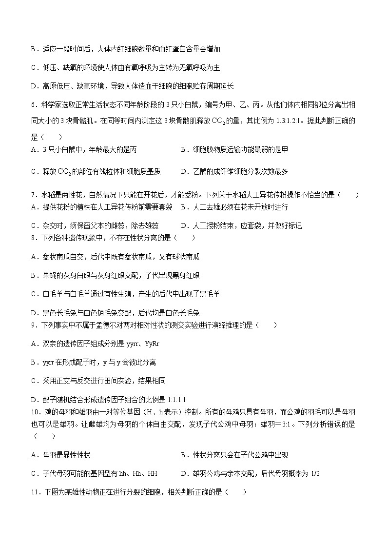 2021深圳高一下学期期末考试生物试题含答案第2页
