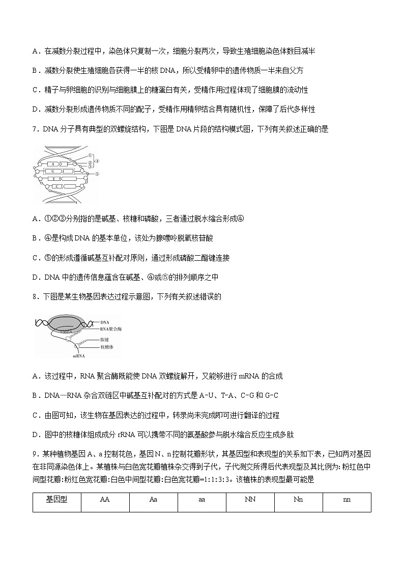 2021汕尾高一下学期期末考试生物试题含答案03