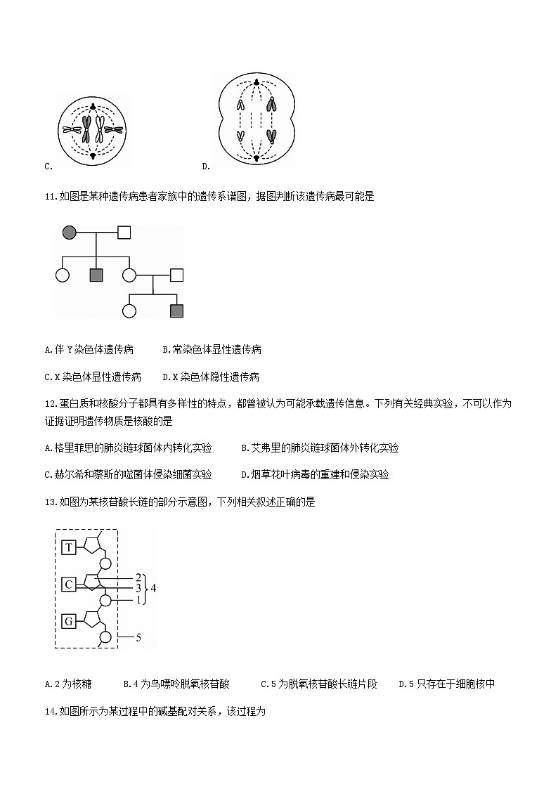 2021合肥六校联盟高一下学期期末联考生物试题含答案03