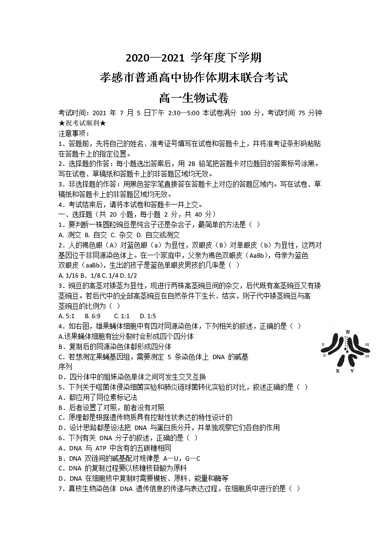 2021孝感普通高中高一下学期期末考试生物试题含答案01