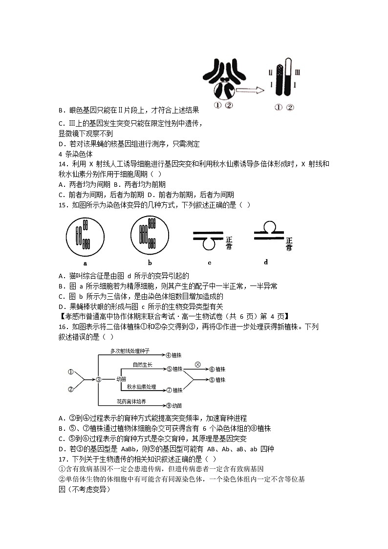2021孝感普通高中高一下学期期末考试生物试题含答案03