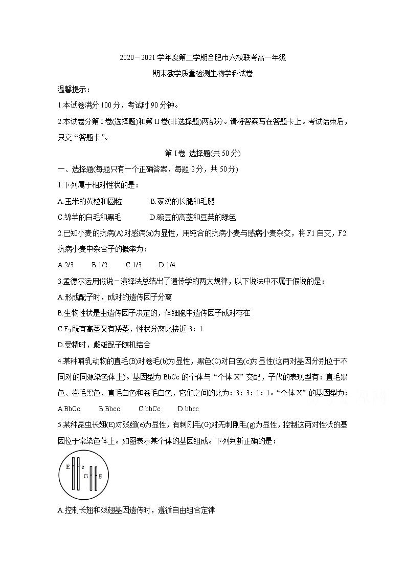 2021合肥六校高一下学期期末联考生物含答案 试卷01