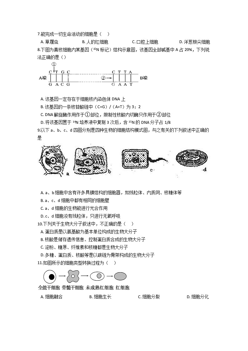 2021许昌三中高一下学期6月月考生物试题含答案第2页
