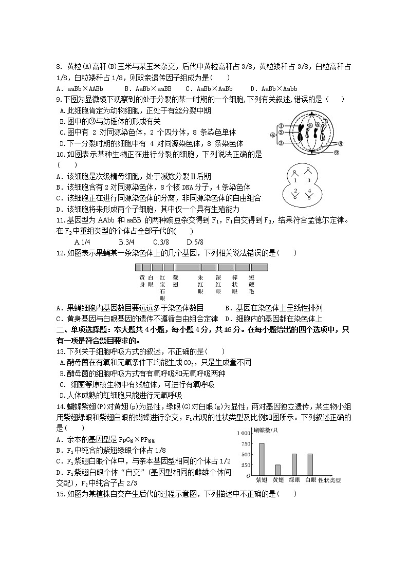 2021揭阳揭西县河婆中学高一下学期第一次月考生物试题含答案02