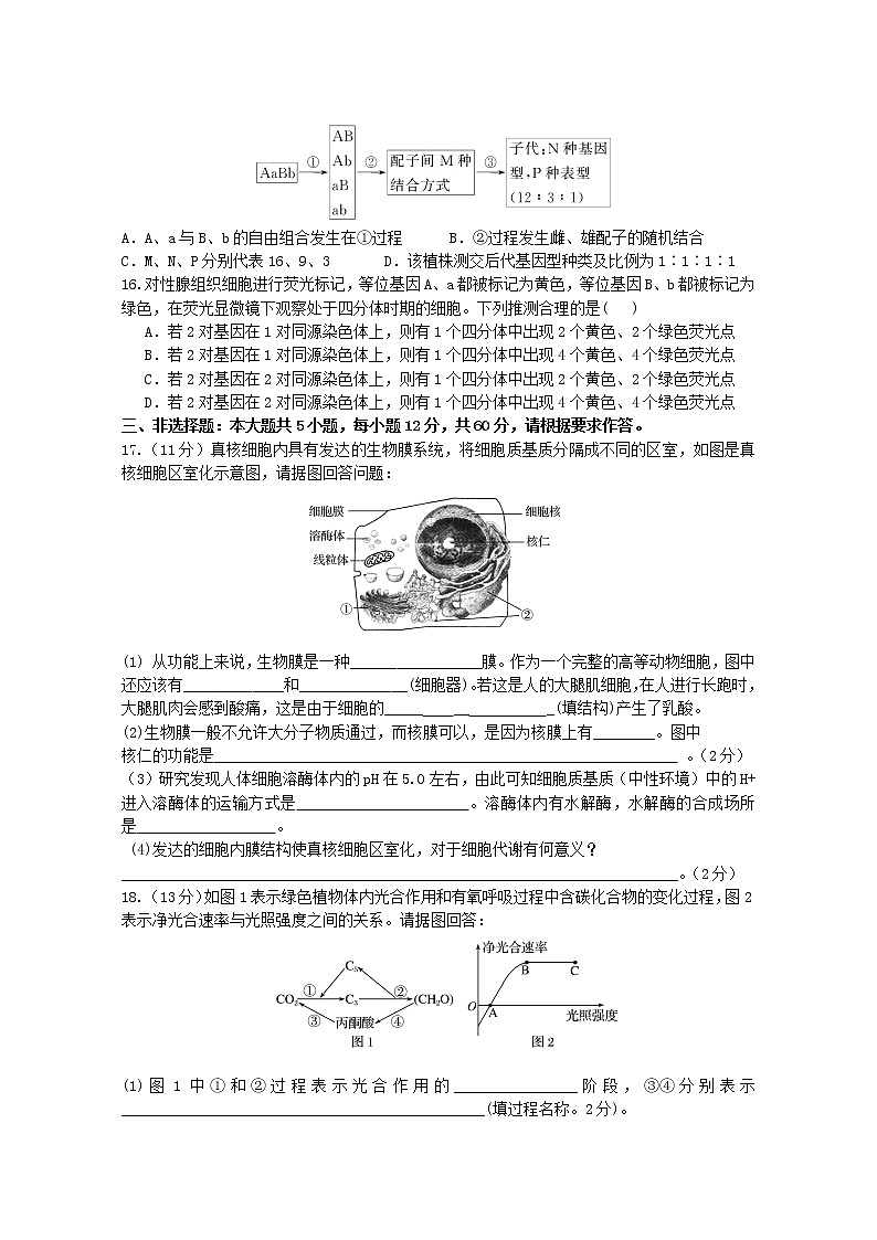 2021揭阳揭西县河婆中学高一下学期第一次月考生物试题含答案03