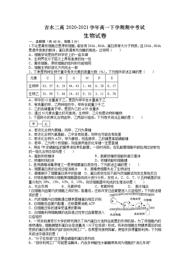 2021吉安吉水二高高一下学期期中考试生物试题缺答案01
