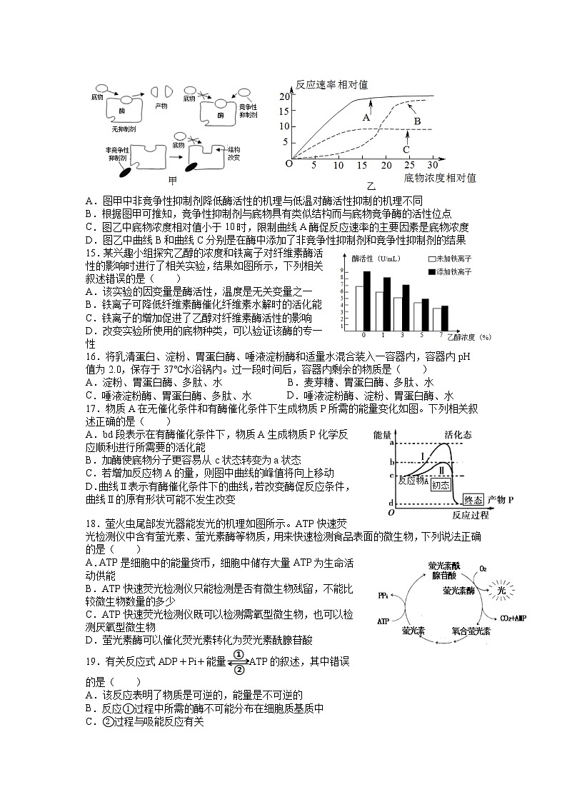 2021吉安吉水二高高一下学期期中考试生物试题缺答案03