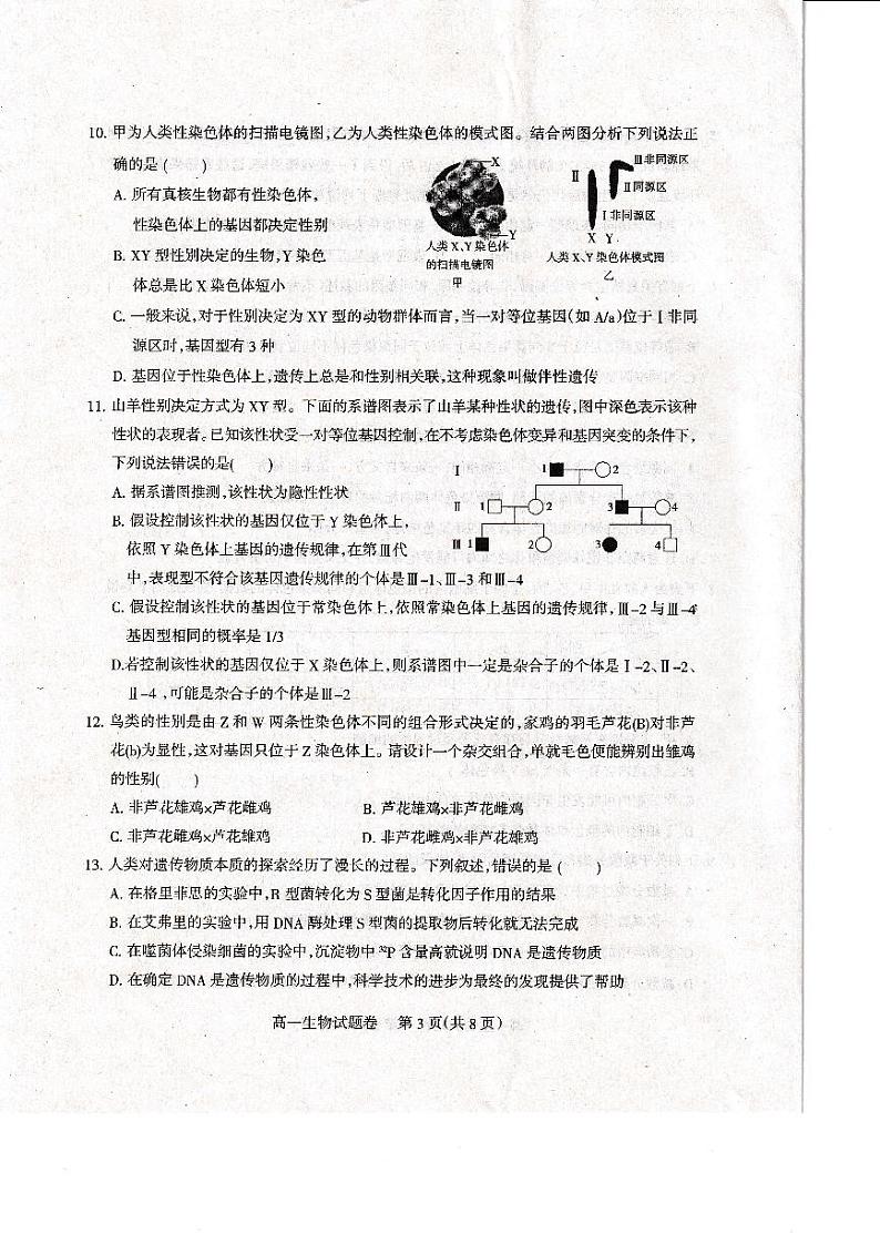 2021凉山州高一下学期期末检测生物试题扫描版含答案03