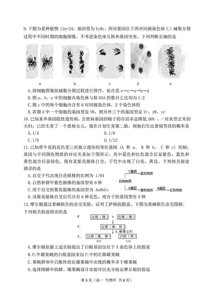 2021大连高一下学期期末考试生物试题PDF版含答案03