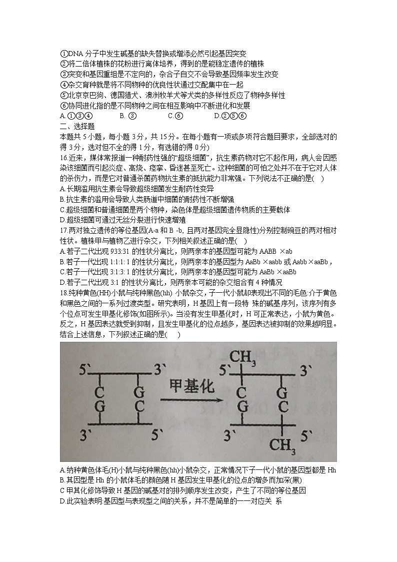 2021沈阳郊联体高一下学期期末考试生物试题含答案03