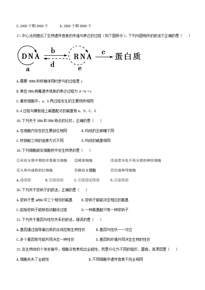 2021黑龙江省嫩江市一中校等五校高一下学期期末考试生物试题含答案03