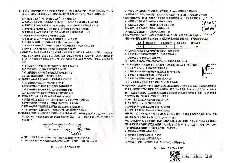 2021白城一中、大安一中、通榆一中、洮南一中、镇赉一中高一下学期期末考试生物试题（图片版）扫描版含答案02