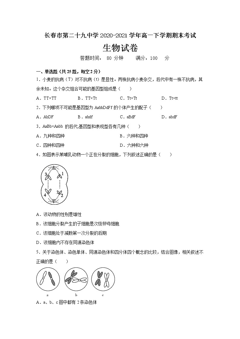 2021长春第二十九中学高一下学期期末考试生物试题含答案01