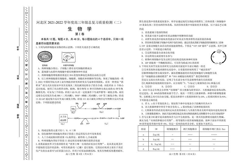 2022年天津市河北区高三二模生物试题含答案01