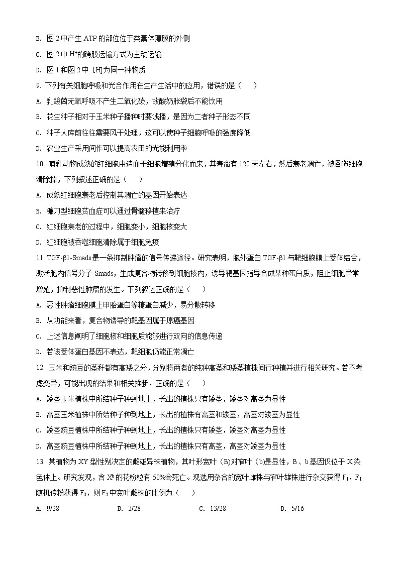 河南省郑州市2021-2022学年高三第一次质量预测（1月）生物试题03