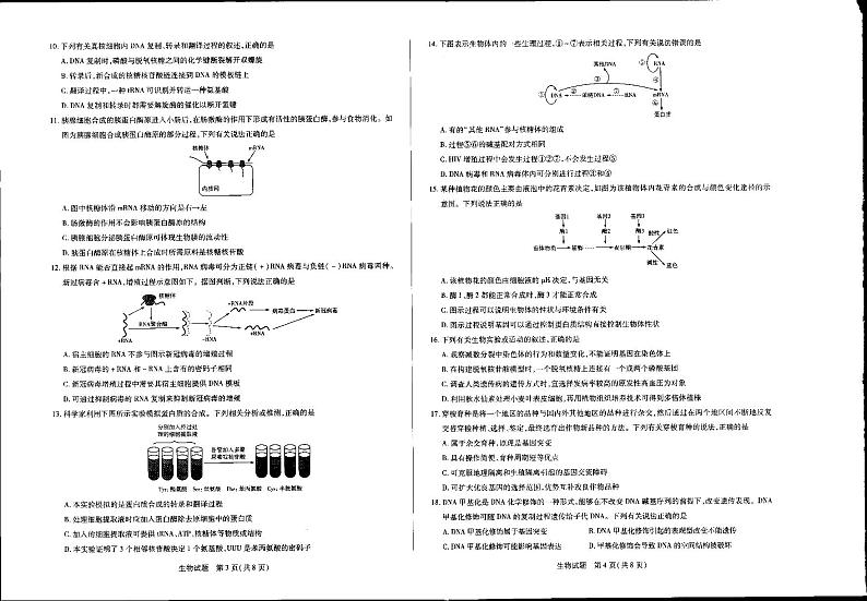 生物试题pdf第2页