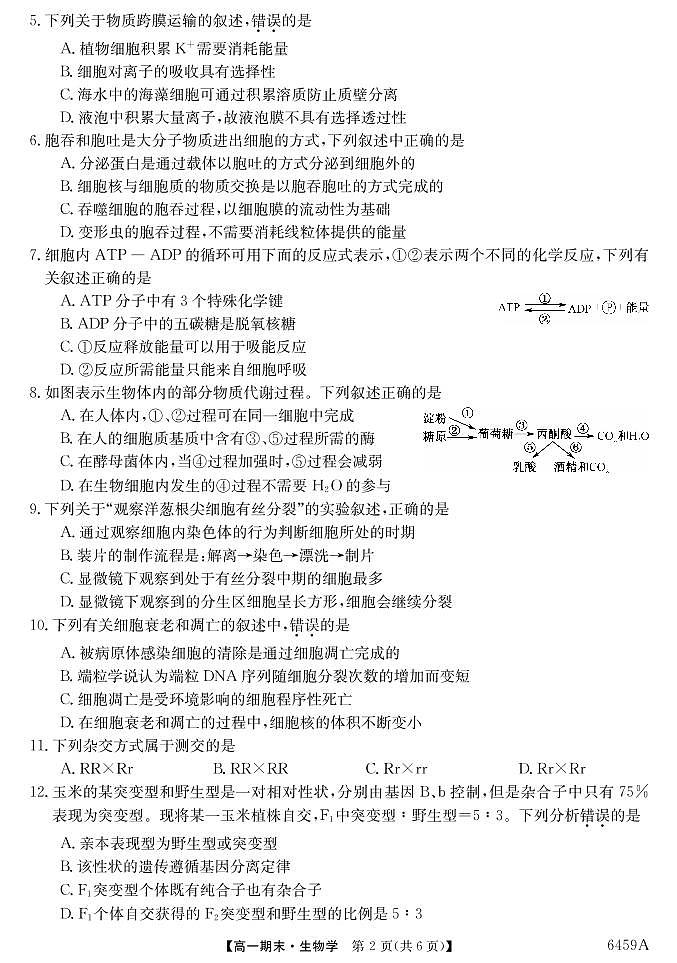 6459A云南陆良县中枢镇第二中学-生物第2页