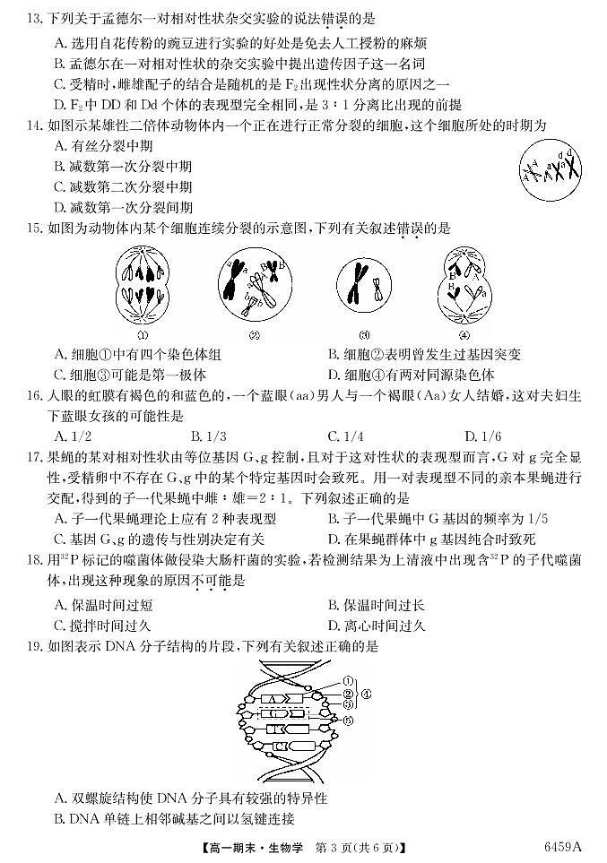 6459A云南陆良县中枢镇第二中学-生物第3页