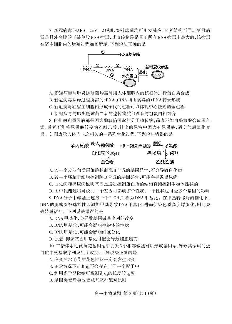 2021泰安高一下学期期末考试生物试题PDF版含答案03