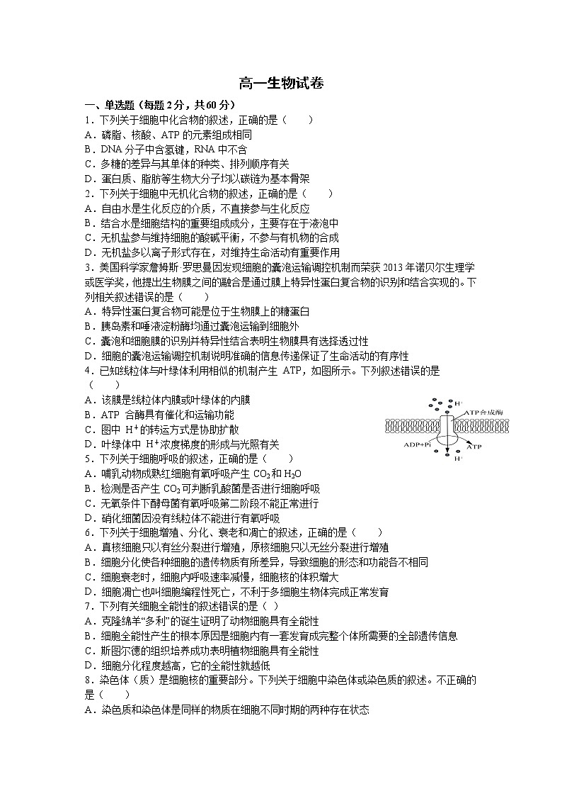 2021淮北树人高级中学高一下学期6月月考生物试卷含答案01