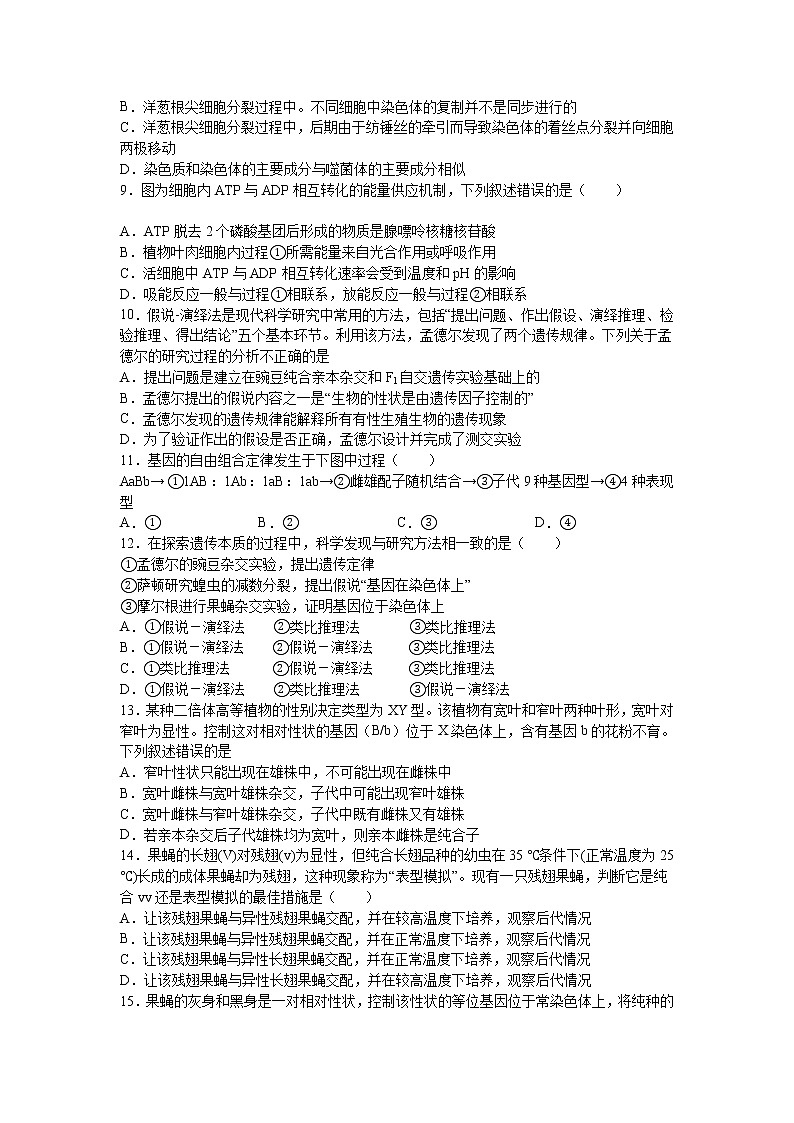 2021淮北树人高级中学高一下学期6月月考生物试卷含答案02