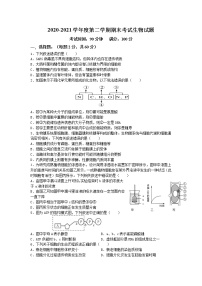 2021淮北树人高级中学高一下学期期末考试生物试卷含答案