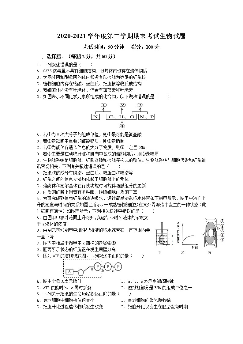 2021淮北树人高级中学高一下学期期末考试生物试卷含答案第1页