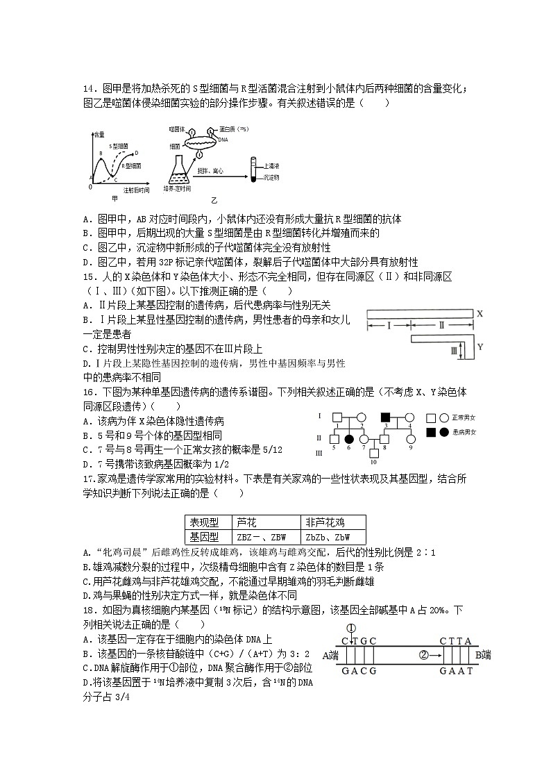 2021淮北树人高级中学高一下学期期末考试生物试卷含答案第3页