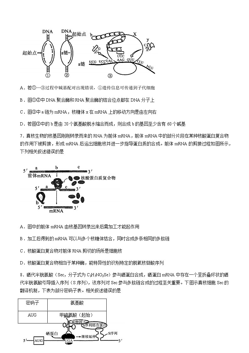 2021临沂兰山区高一下学期期末考试生物试题含答案第3页