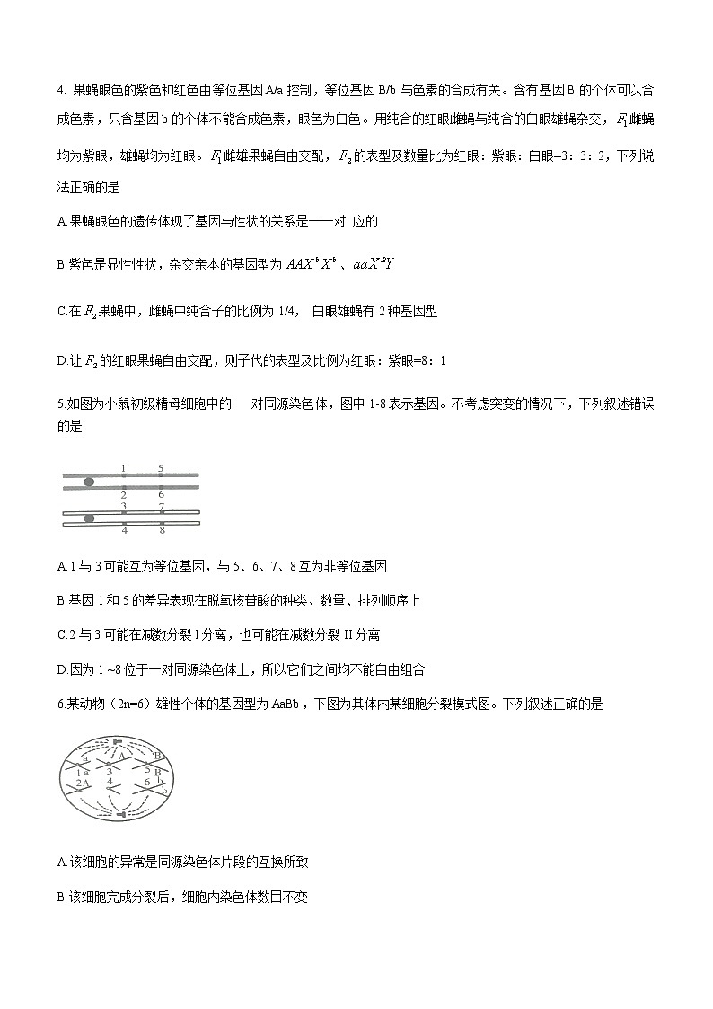 2021潍坊高一下学期期末考试生物试题含答案02