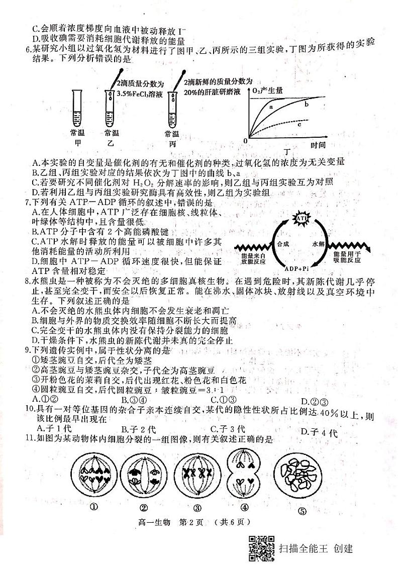 2021驻马店高一下学期期终考试生物试题扫描版含答案02
