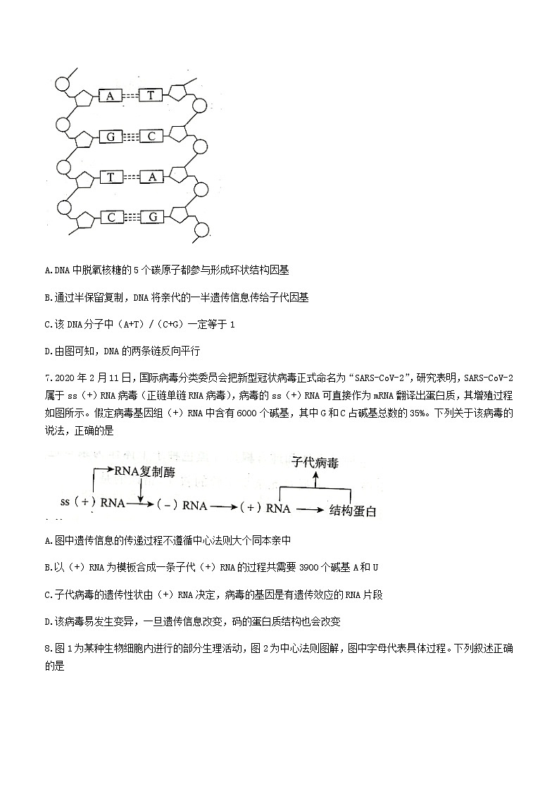 2021邯郸高一下学期期末考试生物试题含答案第3页