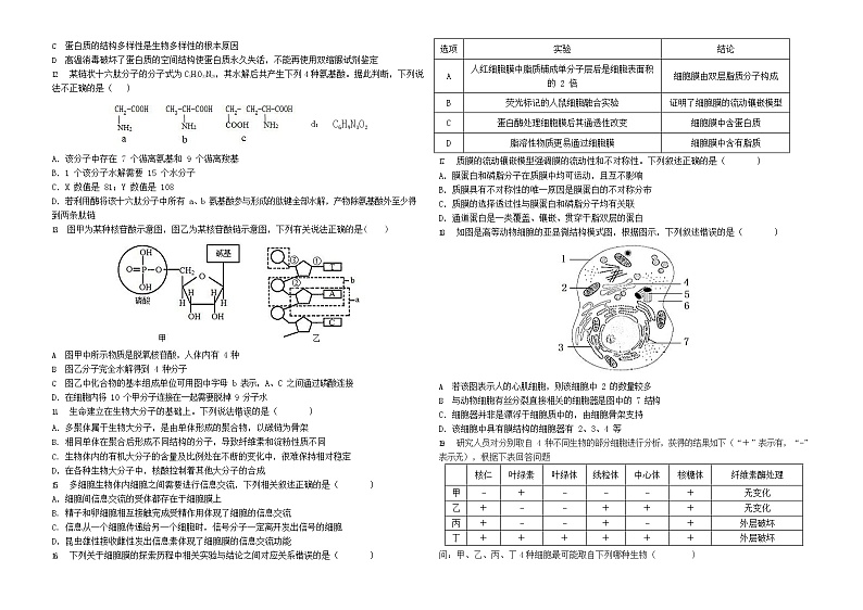 2022吉林一中高二下学期期中考试生物试题（平行班）（无答案）第2页