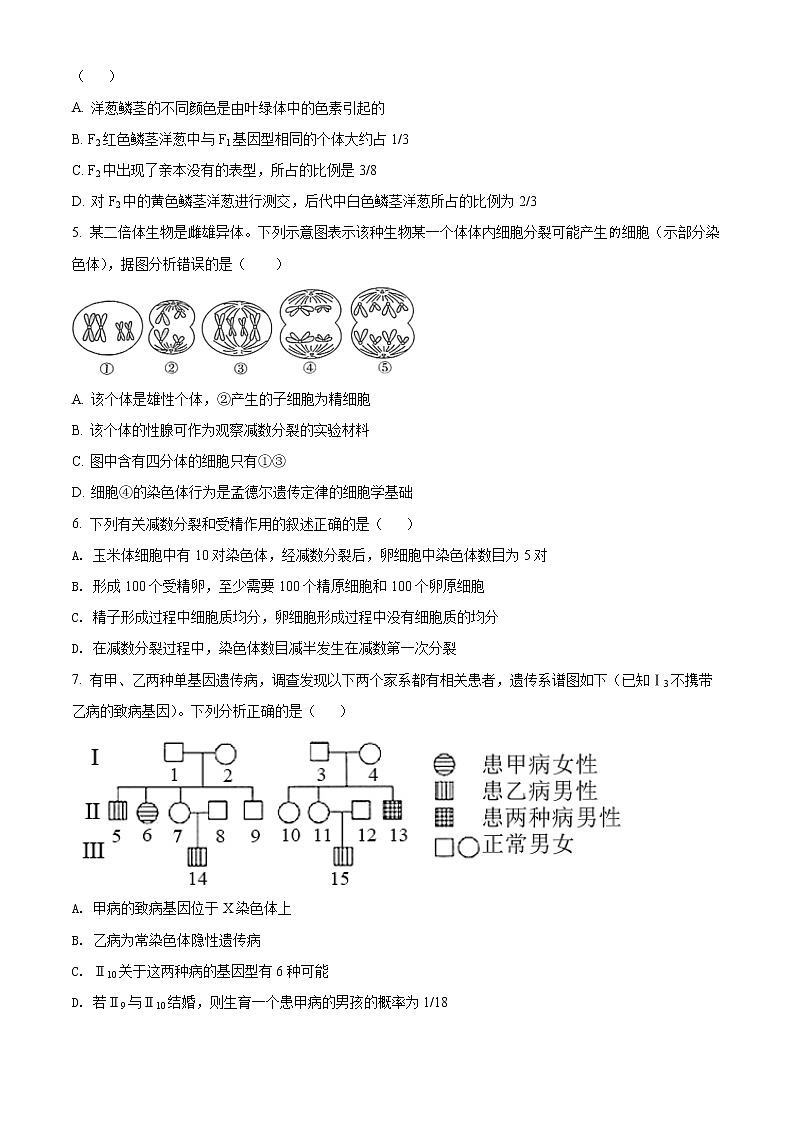 2022武汉钢城四中高一下学期期中考试生物（含答案）02
