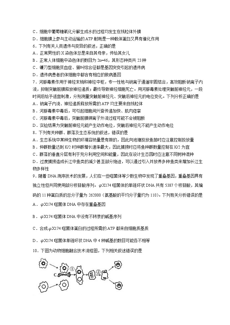 2022莆田高三下学期5月三模考试生物试题含答案02
