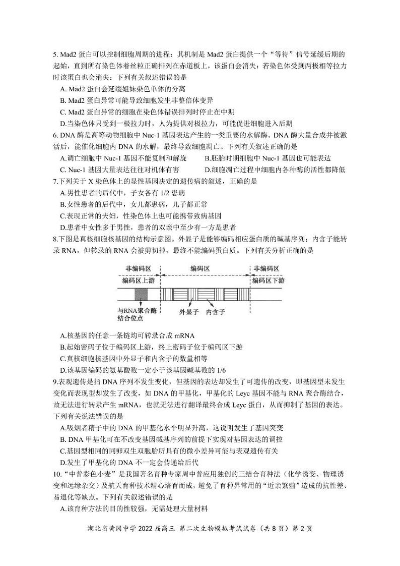 2022黄冈中学高三二模考试生物（含答案、答题卡）02