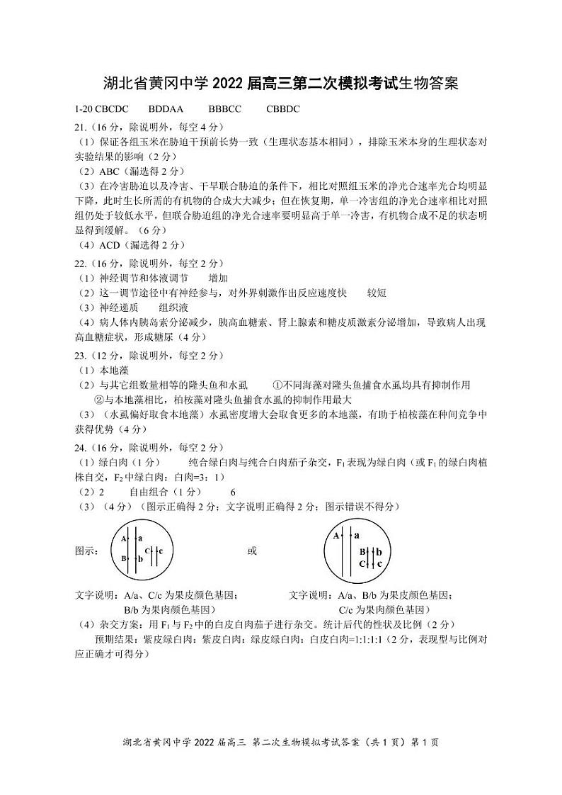 2022黄冈中学高三二模考试生物（含答案、答题卡）01