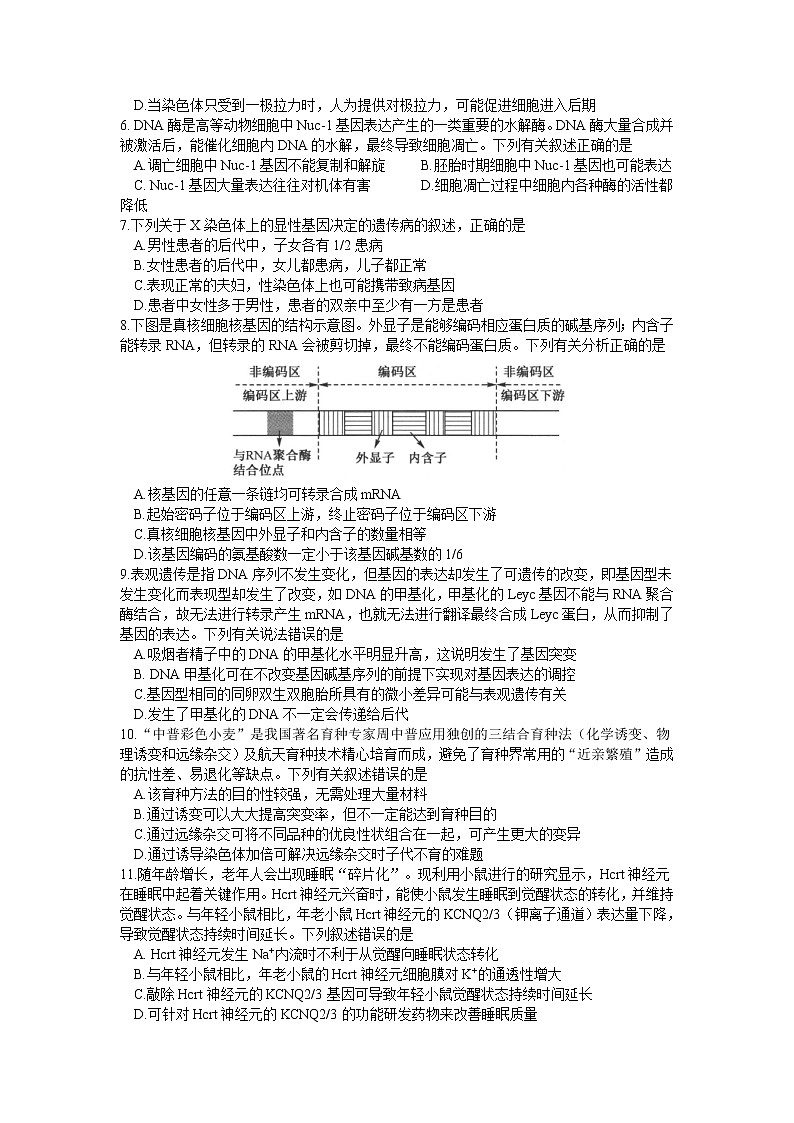 2022黄冈中学高三二模考试生物（含答案、答题卡）02