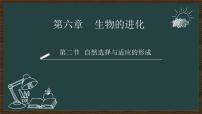 高中生物人教版 (2019)必修2《遗传与进化》第6章 生物的进化第2节 自然选择与适应的形成备课ppt课件