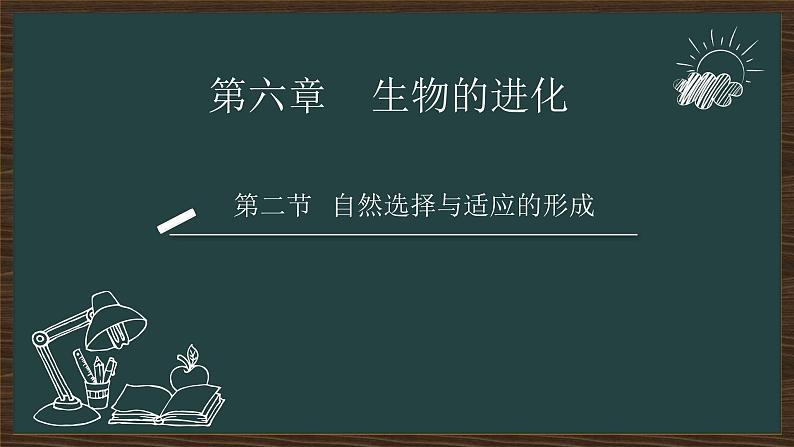 6.2自然选择与适应的形成    课件-2021-2022学年高一下学期生物人教版（2019）必修2第1页