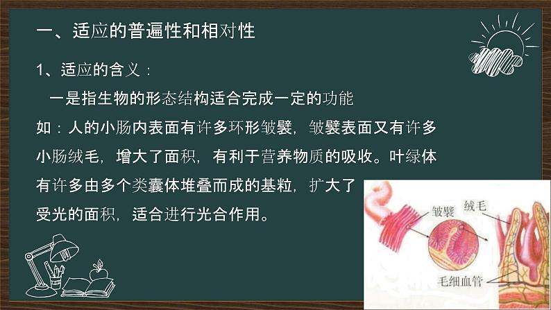 6.2自然选择与适应的形成    课件-2021-2022学年高一下学期生物人教版（2019）必修2第3页