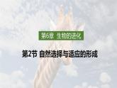 6.2自然选择与适应的形成课件2021-2022学年高一下学期生物人教版必修2