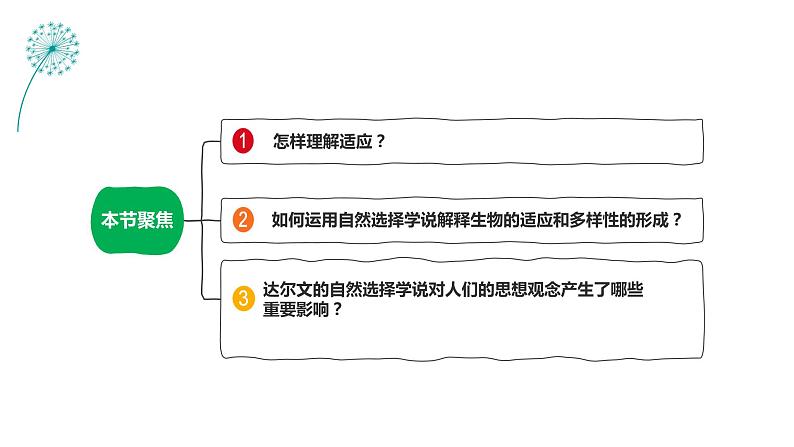 6.2自然选择与适应的形成课件2021-2022学年高一下学期生物人教版必修2第2页