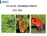 6.2自然选择与适应的形成课件2021-2022学年高一下学期生物人教版必修2